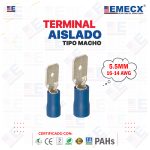 TERMINAL TIPO MACHO AZUL 5.5MM